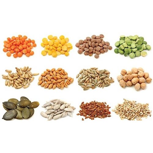 Picture for category Vegetable Seeds