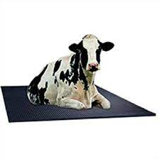 Picture for category Cow & Goat Mats